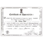 Certificate (13)